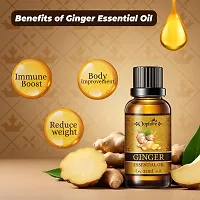 OOPLORE Tummy Ginger Oil For Belly Fat Reduction 32ml  (Pack Of-1)-thumb3