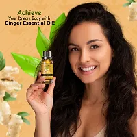 OOPLORE Ayurvedic Ginger fat burner fat loss oil for men women 32ml (Pack Of-3)-thumb2