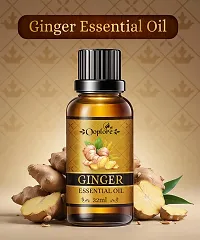 Buy Ginger Oil For weight loss  Get Nabhi Oil for Reduce Belly Fat | Combo Kit For Body  Face Care-thumb4