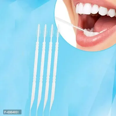 Plastic Double-headed Oral Care Dental Brush Floss Pick Teeth Sticks - 250pcs