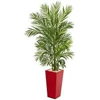 StarlineSuman ARECA PLAM LIVE PLANTS/Air Purifier Indoor Plants for Home-thumb1