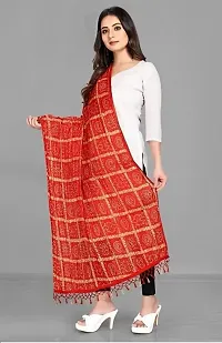 AARSH WENIKA Exquisite Elegance Chinon Silk Bandhej Dupatta (Red)-thumb1