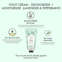 Foot Cream – Deodorizer + Moisturizer Lavender And Peppermint-thumb2