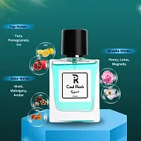 Cool Rock Effect Perfume with Yuzu, Musk  Amber Scent | Solid Long Lasting |PERFUME| 50ML Perfume - 50 ml  (For Women)-thumb3