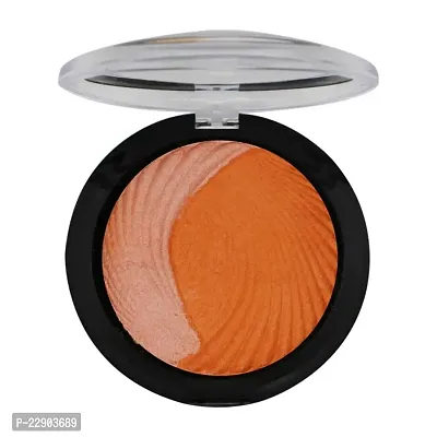 Fashion Colour Dual Face Powder and Blusher (Shade 10)