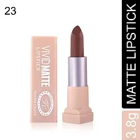 Fashion Colour Velvet Texture Vivid Matte Lipstick, Long Lasting, Smooth and Highly Pigmented Finish With The Smoothing Properties of a Primer (3.8g) (23 Chestnut)-thumb1