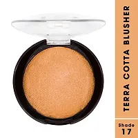 Fashion Colour Waterproof Tera Cotta Blusher, 16g (Shade 17)-thumb2