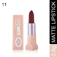 Fashion Colour Velvet Texture Vivid Matte Lipstick, Long Lasting, Smooth and Highly Pigmented Finish With The Smoothing Properties of a Primer (3.8g) (11 Red Brown)-thumb3