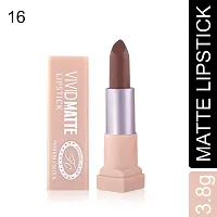 Fashion Colour Velvet Texture Vivid Matte Lipstick, Long Lasting, Smooth and Highly Pigmented Finish With The Smoothing Properties of a Primer (3.8g) (16 Coffee)-thumb3