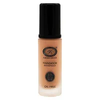 Fashion Colour Cream+Oil Oil Free Waterproof Foundation Natural finish 02 Honny Bisque 30 ml-thumb1