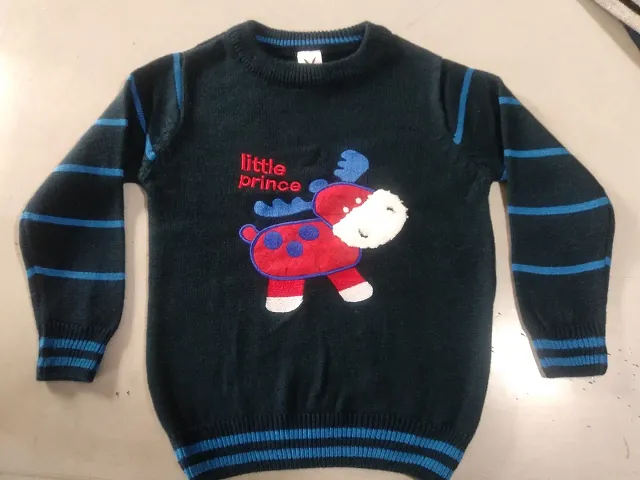 Boy Winter Wear Acrylic Embroidered Sweater