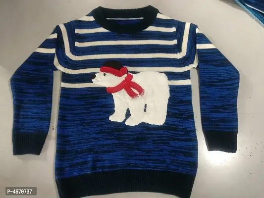 Boy Winter Wear Acrylic Embroidered Sweater-thumb0