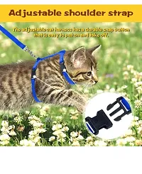 The Pets Company Cat Harness Leash Set for Cats  Kittens, 45 Inches-thumb3