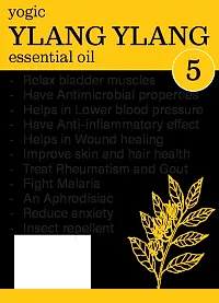 Yogic Ylang Ylang Essential Oil For Hair softness And Rejuvenation-thumb3