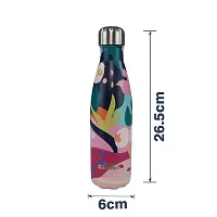 500 ml Stainless Steel Water Bottle - Multicolor-thumb3