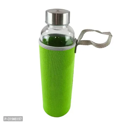 Glass Bottles With Removable Stainless Steel Infuser Green-thumb5