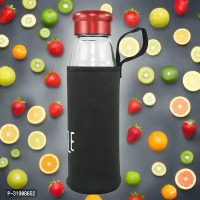 Glass Bottles With Removable Stainless Steel Infuser Red