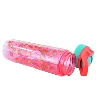 Sipper Bottle 750 Ml - Ice Cream Theme Pink-thumb2