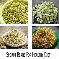 Aider Organic Home Making Fresh Sprouts Beans for Living Healthy Life, Sprout Maker 2 Bean Bowl (Colour May Be Vary) - 1200 ml Plastic Sprout Maker Box (Multicolour)-thumb3