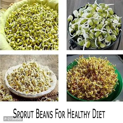 Aider Organic Home Making Fresh Sprouts Beans for Living Healthy Life, Sprout Maker 2 Bean Bowl (Colour May Be Vary) - 1200 ml Plastic Sprout Maker Box (Multicolour)-thumb4