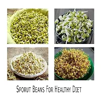 Pap Announcer Organic Home Making Fresh Sprouts Beans for Living Healthy Life, Sprout Maker 2 Bean Bowl (Colour May Be Vary) - 1200 ml Plastic Sprout Maker (Multicolour)-thumb4