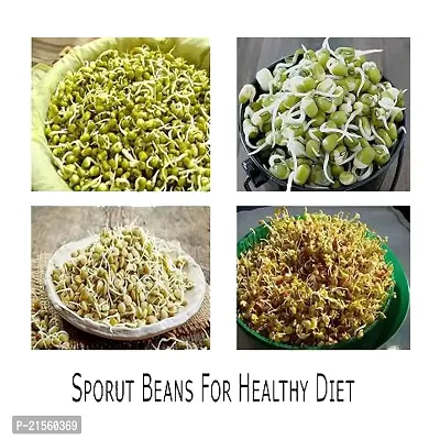 Pap Announcer Organic Home Making Fresh Sprouts Beans for Living Healthy Life, Sprout Maker 2 Bean Bowl (Colour May Be Vary) - 1200 ml Plastic Sprout Maker (Multicolour)-thumb5