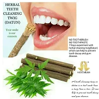 Santarms Ayurvedic Natural Organic FRESH NEEM Stick - neem Datun Toothbrush Nim Tree Twigs Chew Sticks for Brushing Teeth Removes Bad Breath, Relieve Tooth Ache - Pack of 50 Pieces-thumb2