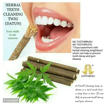 Santarms Ayurvedic Natural Organic FRESH NEEM Stick - neem Datun Toothbrush Nim Tree Twigs Chew Sticks for Brushing Teeth Removes Bad Breath, Relieve Tooth Ache - Pack of 50 Pieces-thumb3