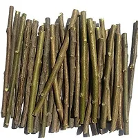 Santarms Ayurvedic Natural Organic FRESH NEEM Stick - neem Datun Toothbrush Nim Tree Twigs Chew Sticks for Brushing Teeth Removes Bad Breath, Relieve Tooth Ache - Pack of 50 Pieces-thumb4