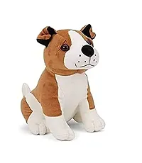 Soft Toy Combo Pack of Bull Dog-thumb2