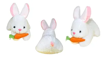 Special Combo of 4 Super Soft Plush Teddy Rabbit with Carrot-thumb3