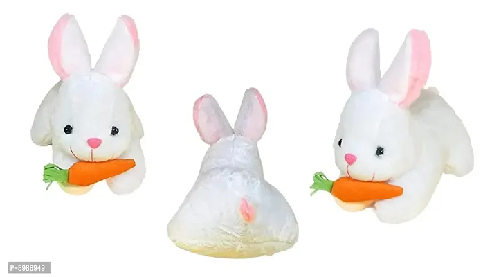 Special Combo of 4 Super Soft Plush Teddy Rabbit with Carrot-thumb4