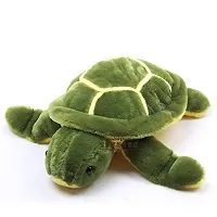 Hugable Lovable Soft Toys Combo Squirrel Plush and Tortoise Soft Toy Multicolored Plush Stuffed Toy for Babies and Kids-thumb3