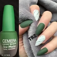 Quick Drying Matte Finish Long Lasting High Shine Nail Polish For Women Smooth Application-thumb2