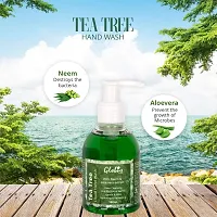 Globus Naturals Tea Tree Liquid Hand Wash With Neem  Aloe Vera (Pack Of 2)-thumb3