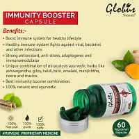 Globus Naturals Ayurvedic Immunity Booster Vegetarian Capsules-thumb3
