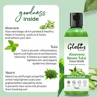 Globus Remedies Aloe vera Neem Tulsi Face Wash 75gm-thumb3