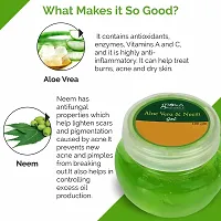 Globus Naturals Aloe vera Neem Gel, 100 ml-thumb1