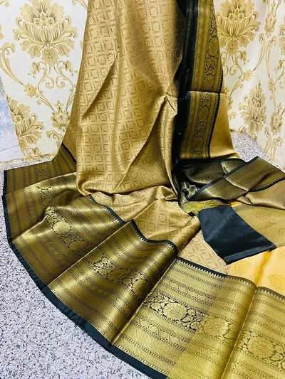 Beautiful Organza Saree with Blouse piece