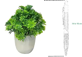 Beautiful Bonsai Wild Artificial Plant with Pot -15 cm, Green, Pack Of 4-thumb1