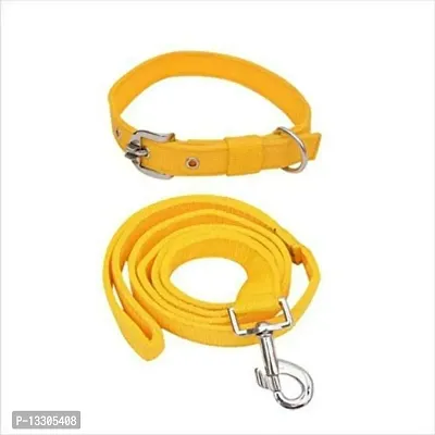 Dog Neck Collar Belts and Leash Set for Medium Size Dog - 1 Inch