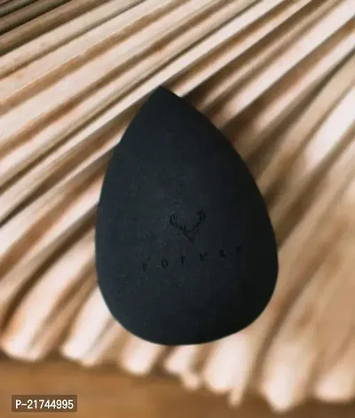 Wonder Beauty Blender For Face Makeup (P OF 1)