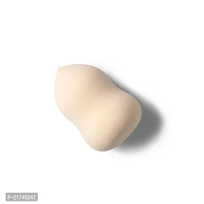 Wonder Beauty Blender For Face Makeup (P OF 1)