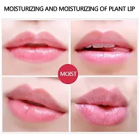 Beauty Jelly Lipstick For Women-thumb3