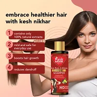 Kesh Nikhar Herbal Shampoo With Amla,Reetha  Shikakai-Ayurvedic Benefits Since 1935-Pack of 2-thumb2