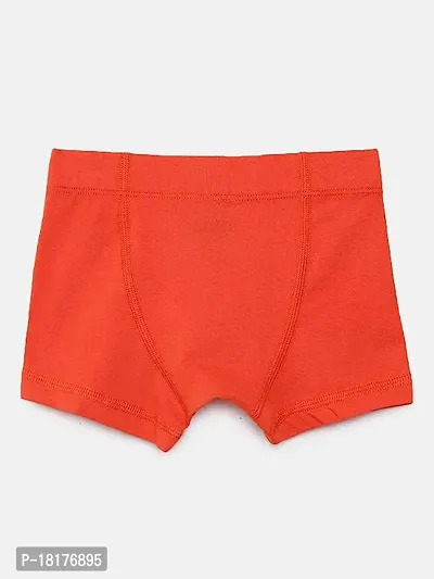 Stylish Boxer For Kids Boys