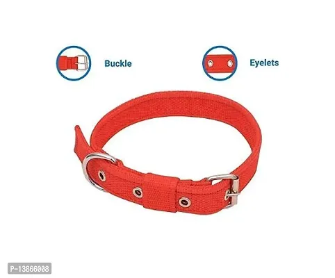 Stylish Dog Collar Belt