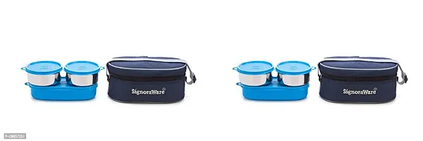 Double Decker Stainless Steel Lunch Box Set with Bag