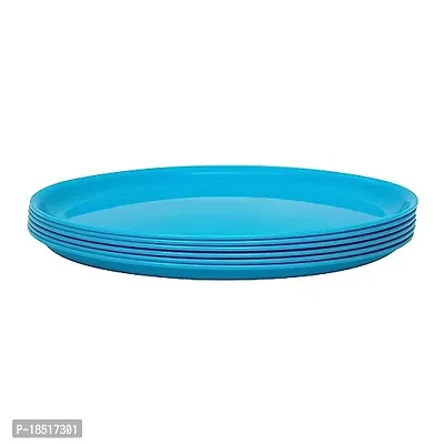 Plastic Full Plates Set of 6