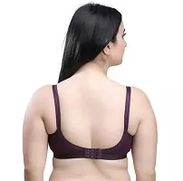 Cotton C and D Cup Bra/T-Shirt Bra/Everyday Bra Broad Strap Bra pack of 2-thumb1